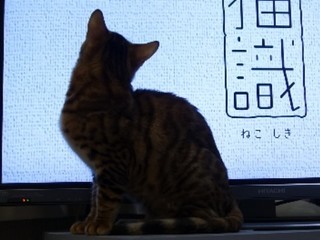 15-0223-02.jpg
