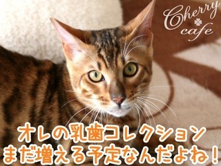 15-0223-e.jpg