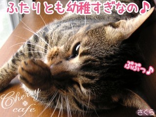 15-0410-05.jpg