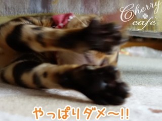 15-0429-09.jpg