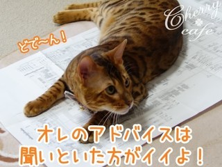15-0513-04.jpg