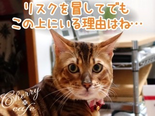 15-0608-03.jpg