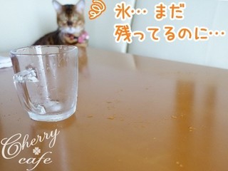 15-0731-11.jpg