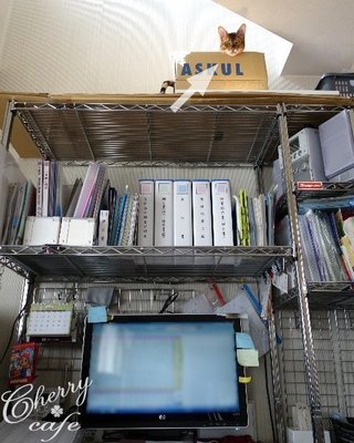 15-1120-03a.jpg