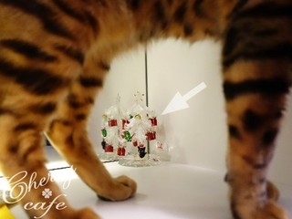 15-1125-04.jpg