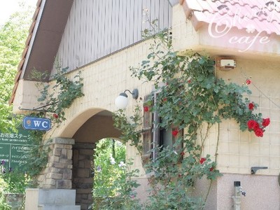 16-0610-08.jpg