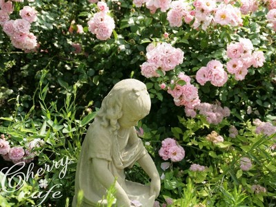 花菜ガーデン 薔薇 石造