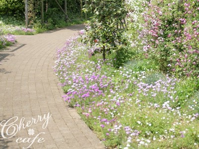 花菜ガーデン