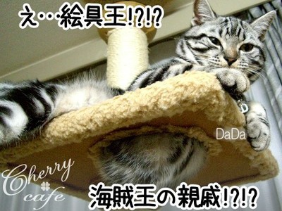 アメショ キャットタワー