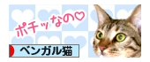 banner-b01.png