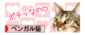 banner-p01.png